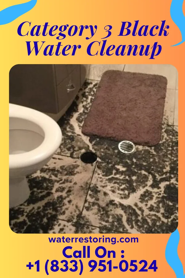 Category 3 Black Water Cleanup in Shamokin, PA