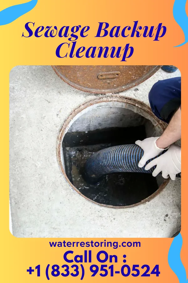 Sewage Backup Cleanup in Shamokin, PA
